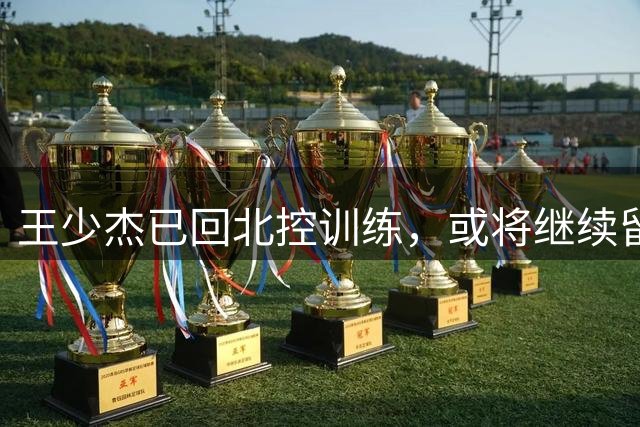 王少杰已回北控训练，或将继续留队效力